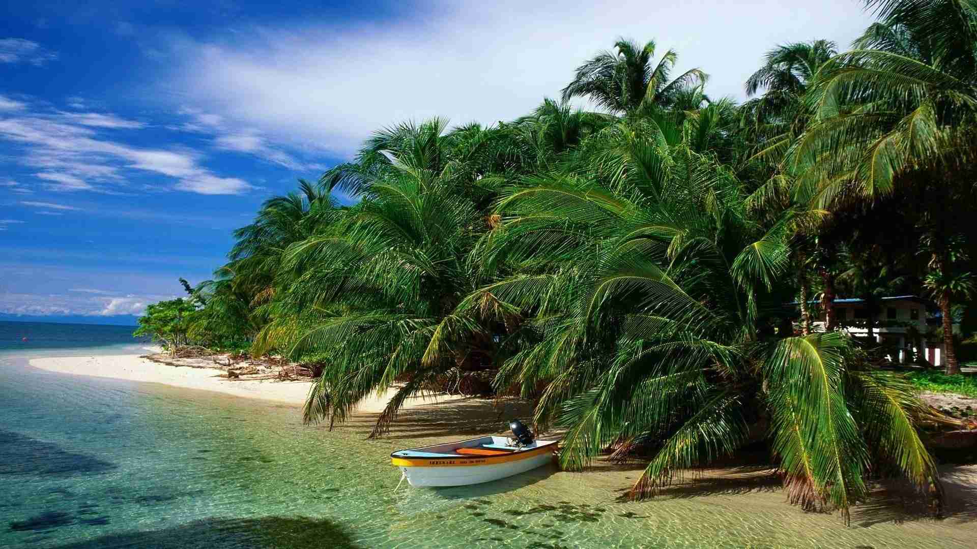 Bocas Del Toro :: PCM REPS Panamá :: Agencia mayorista de viajes