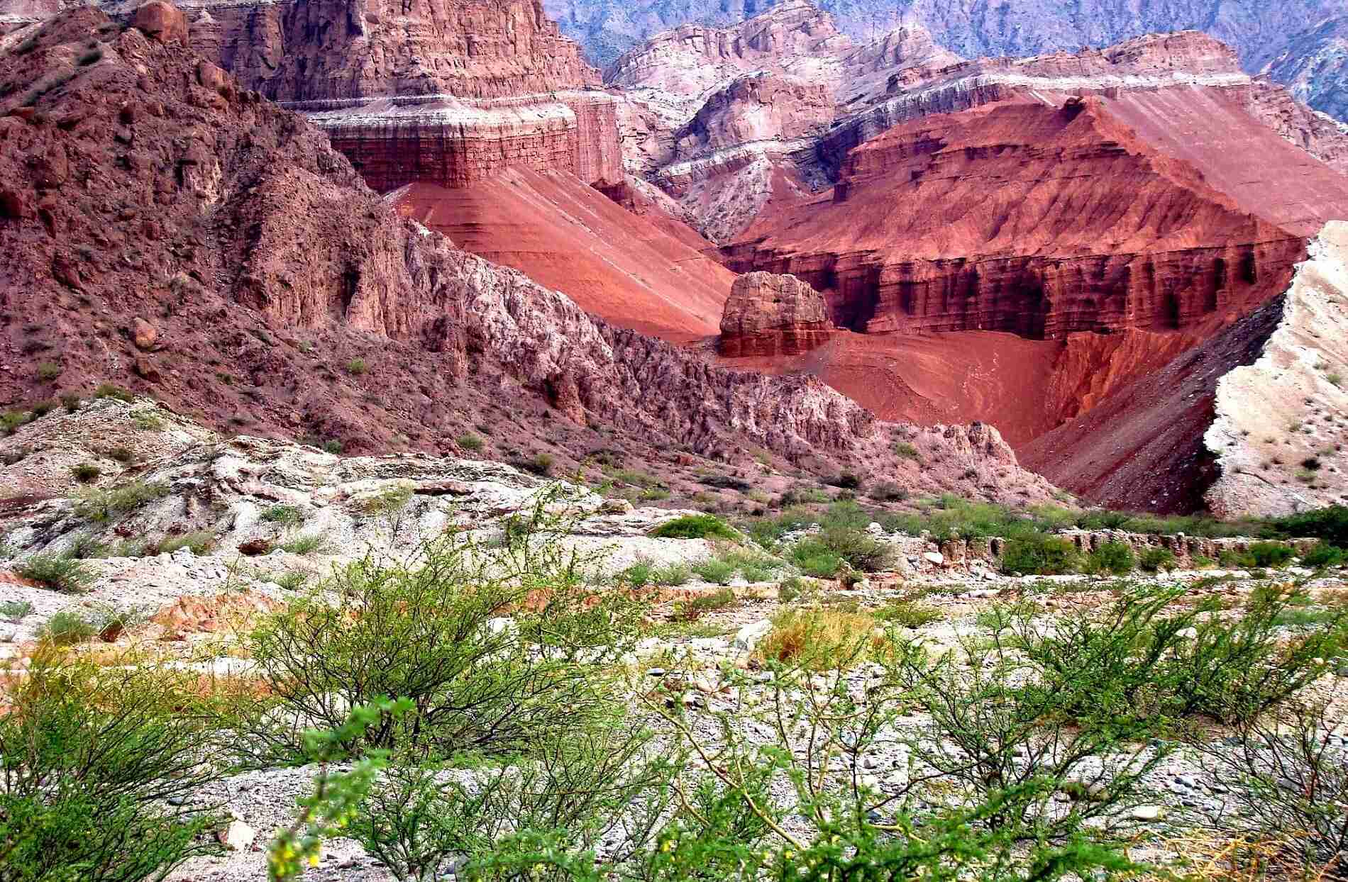 Salta Y Mendoza 