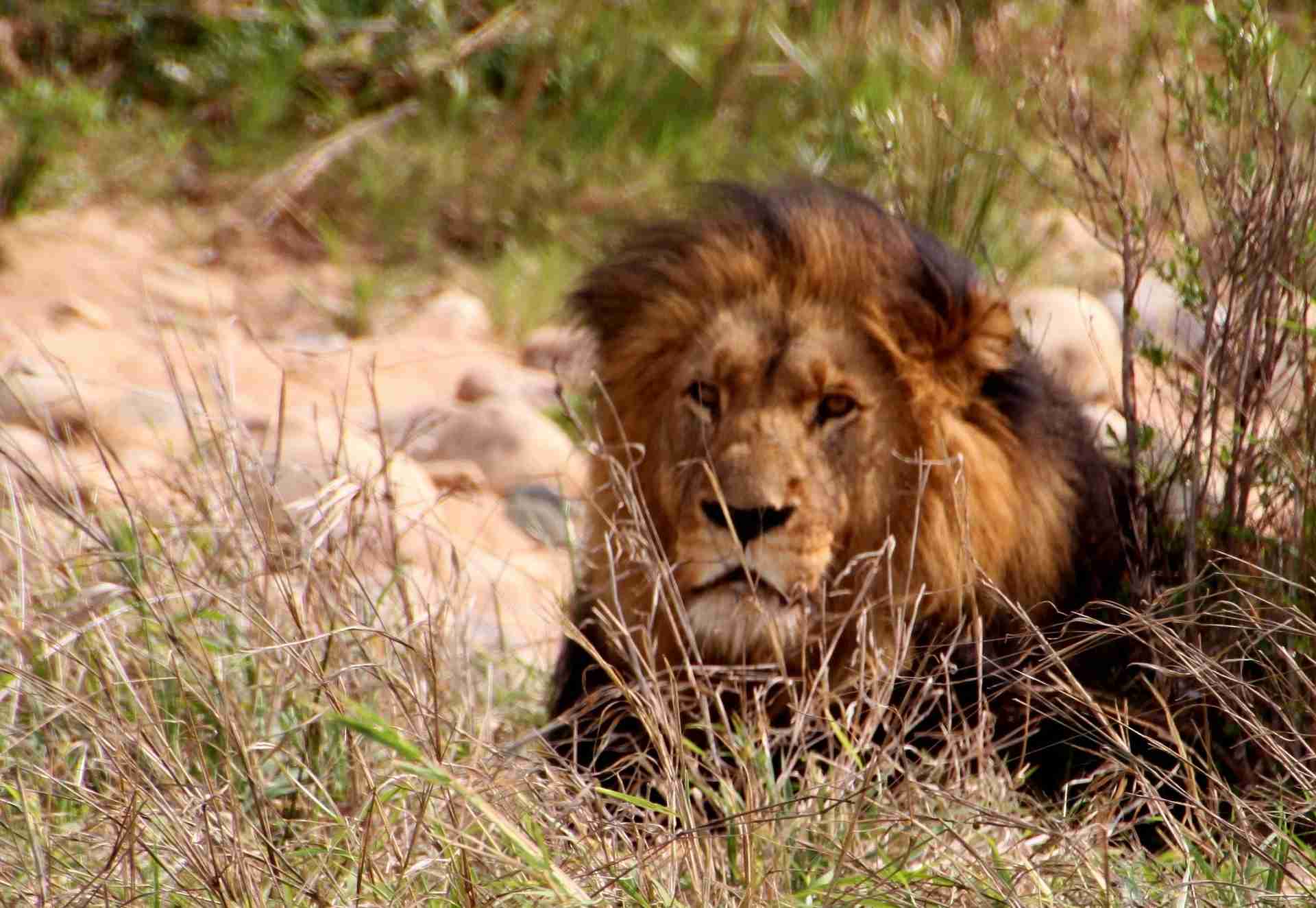 Aventura En Sudafrica