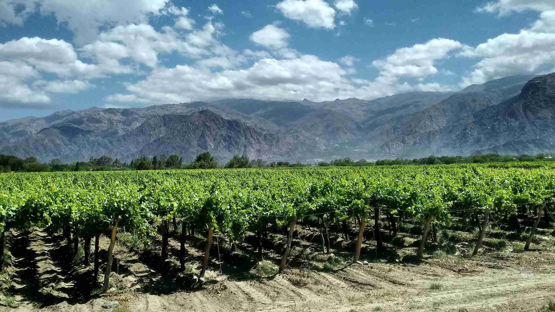 Postales De Los Andes - 10 Noches