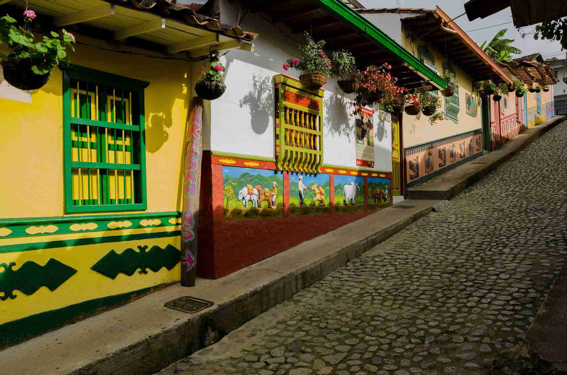 Feria De Las Flores Medellin Agosto