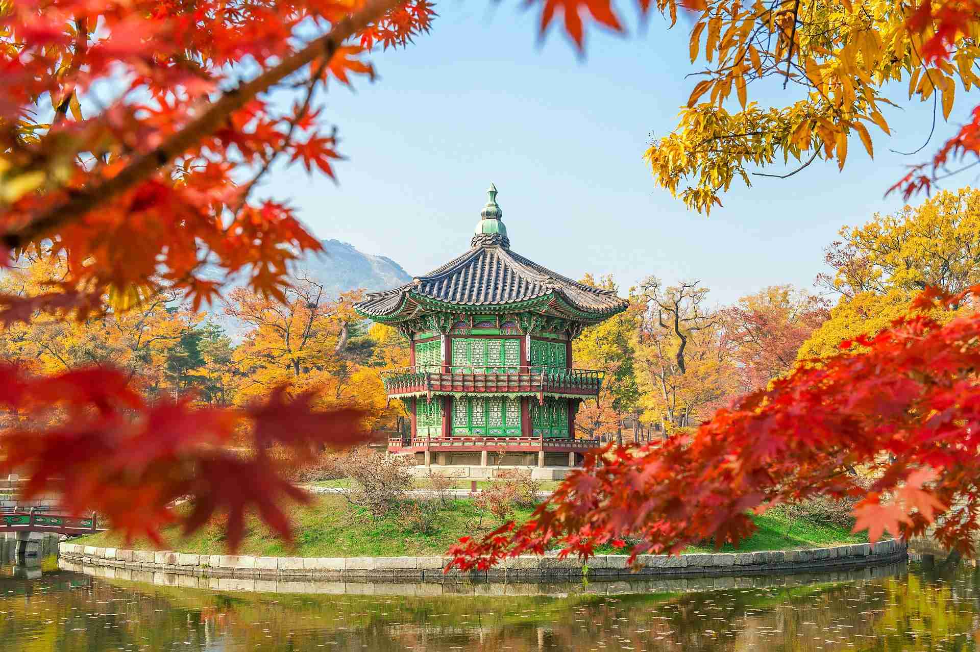 Colores De Corea Del Sur