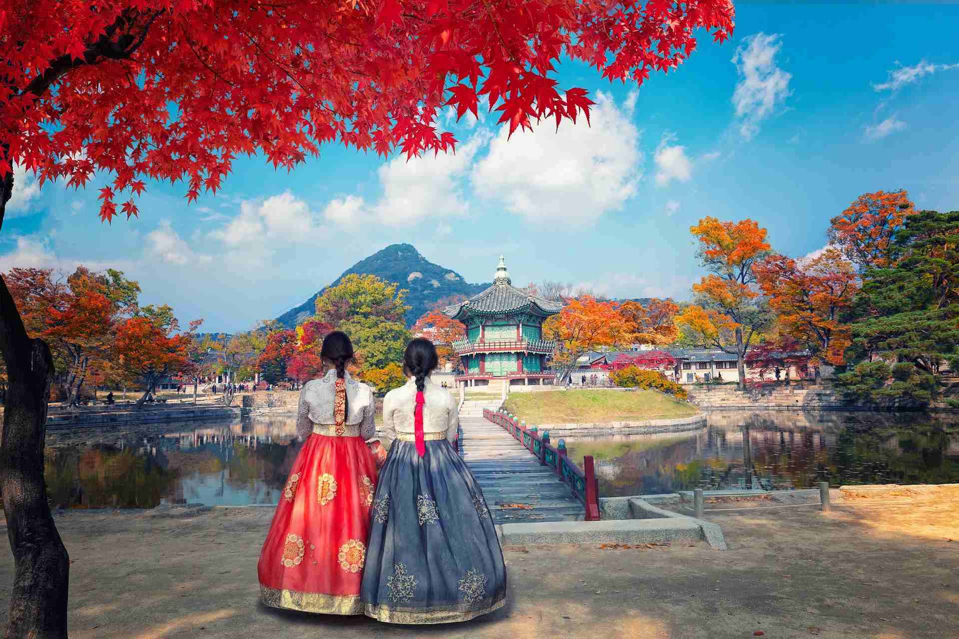 Corea Del Sur Auténtica