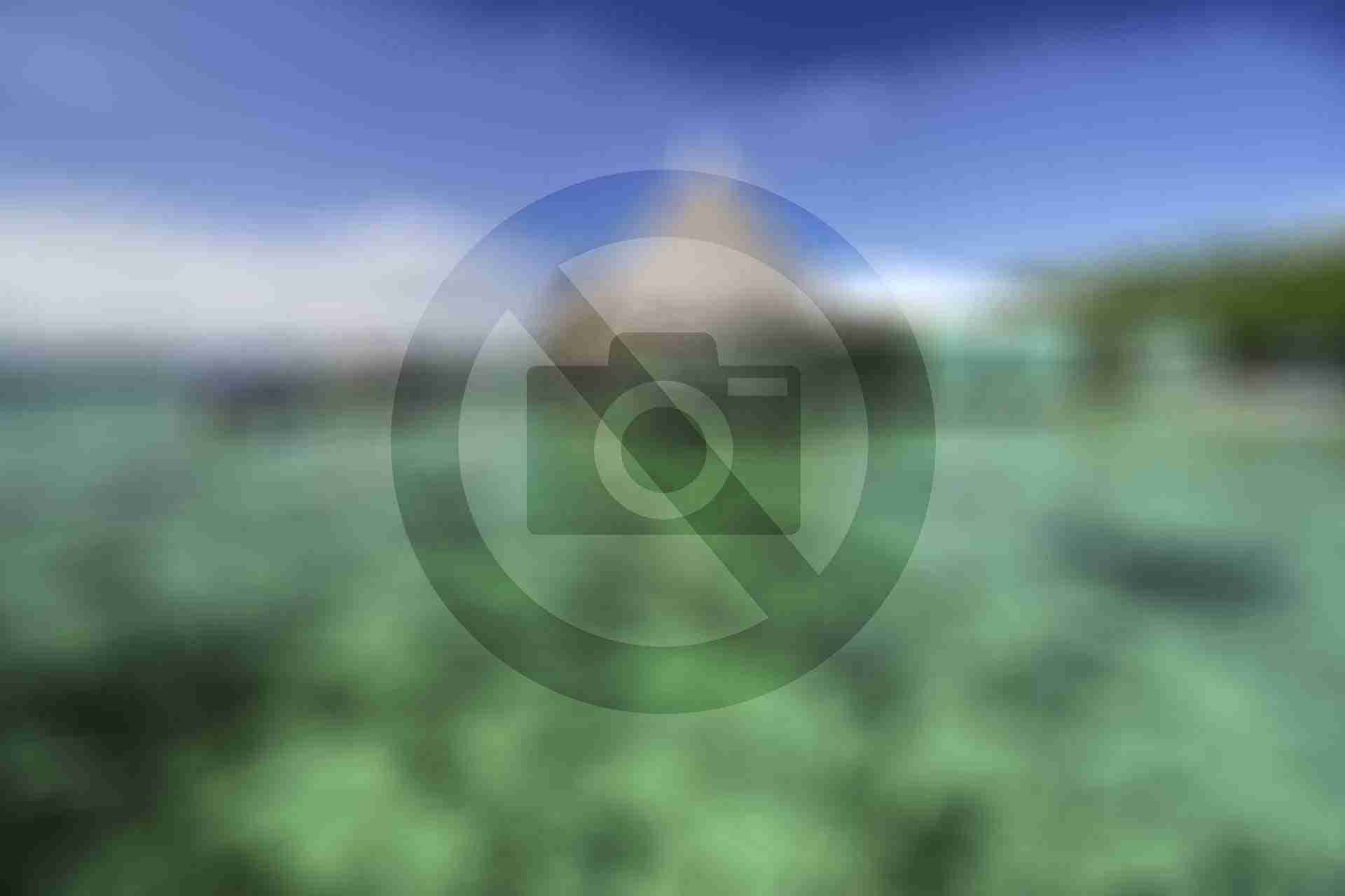  Behind The Scenes Corea