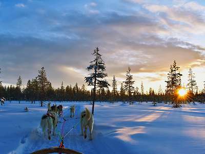 La Magia De Rovaniemi Y El Iglú De Cristal