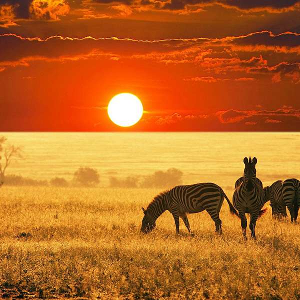 Lo Mejor De Sudáfrica