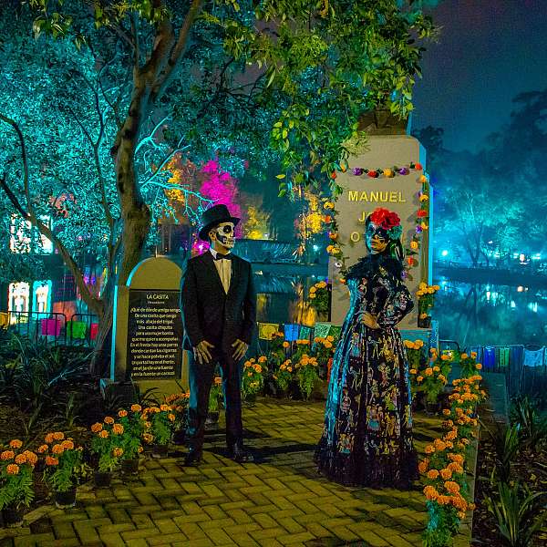 Raices Del Dia De Muertos 29 Oct