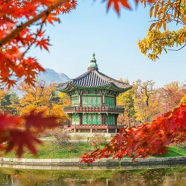 Colores De Corea Del Sur