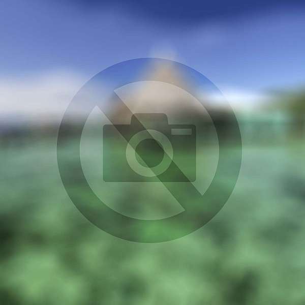  Behind The Scenes Corea