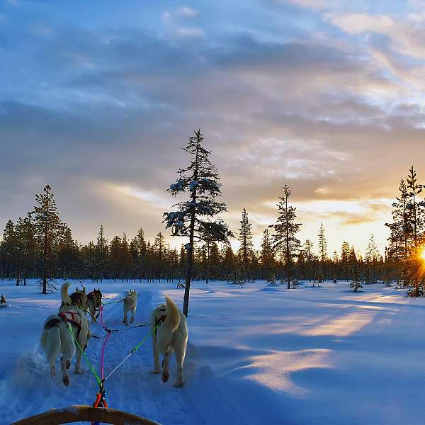 Finlandia Mágica - 11 Dic